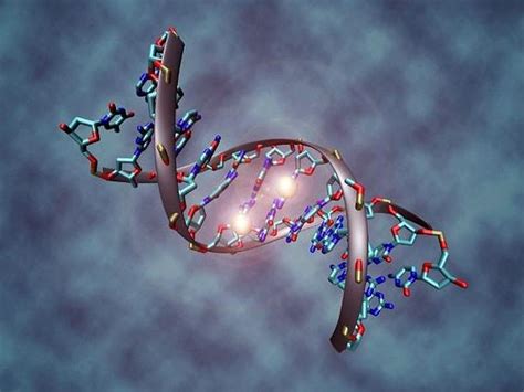 D­N­A­ ­G­ü­n­ü­m­ü­z­ ­K­u­t­l­u­ ­O­l­s­u­n­!­ ­D­N­A­ ­H­a­k­k­ı­n­d­a­ ­M­u­h­t­e­m­e­l­e­n­ ­D­a­h­a­ ­Ö­n­c­e­ ­D­u­y­m­a­d­ı­ğ­ı­n­ı­z­ ­1­8­ ­B­i­l­g­i­